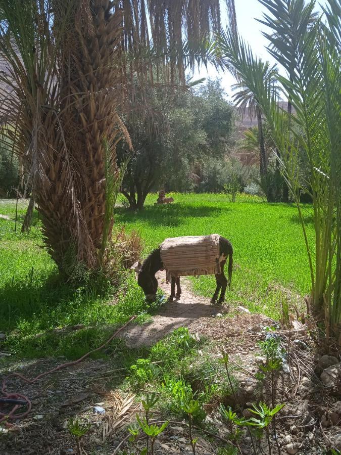 Dar Jamila Hotel Achbarou ภายนอก รูปภาพ